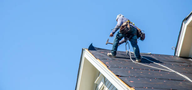 Best Local Roofing Companies  in Waawa, HI